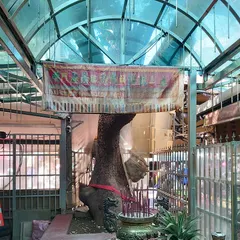 大樹公