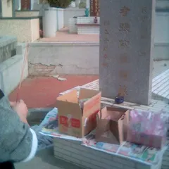 掃墓/培墓